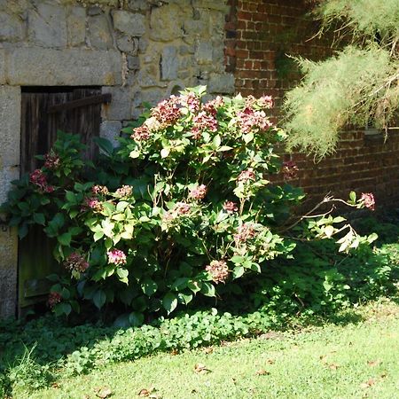 Gite La Grange D'Herbuchenne Динант Екстериор снимка