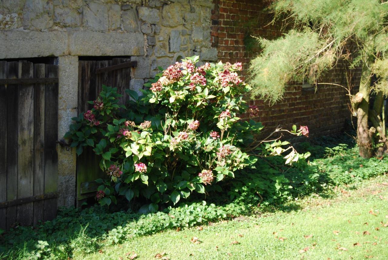 Gite La Grange D'Herbuchenne Динант Екстериор снимка
